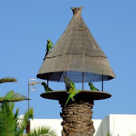 Ferienwohnung La Kasita In Primavera Costa Del Silencio Exterior foto